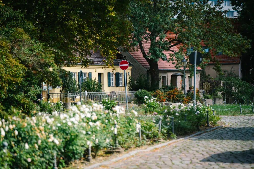 Ein idyllischer Blick auf eine gepflasterte Straße mit blühenden weißen und orangefarbenen Blumen im Vordergrund. Dahinter stehen historische Häuser mit roten Dächern und farbigen Fassaden, umgeben von Bäumen. In der Mitte des Bildes befindet sich ein „Einfahrt verboten“-Schild.