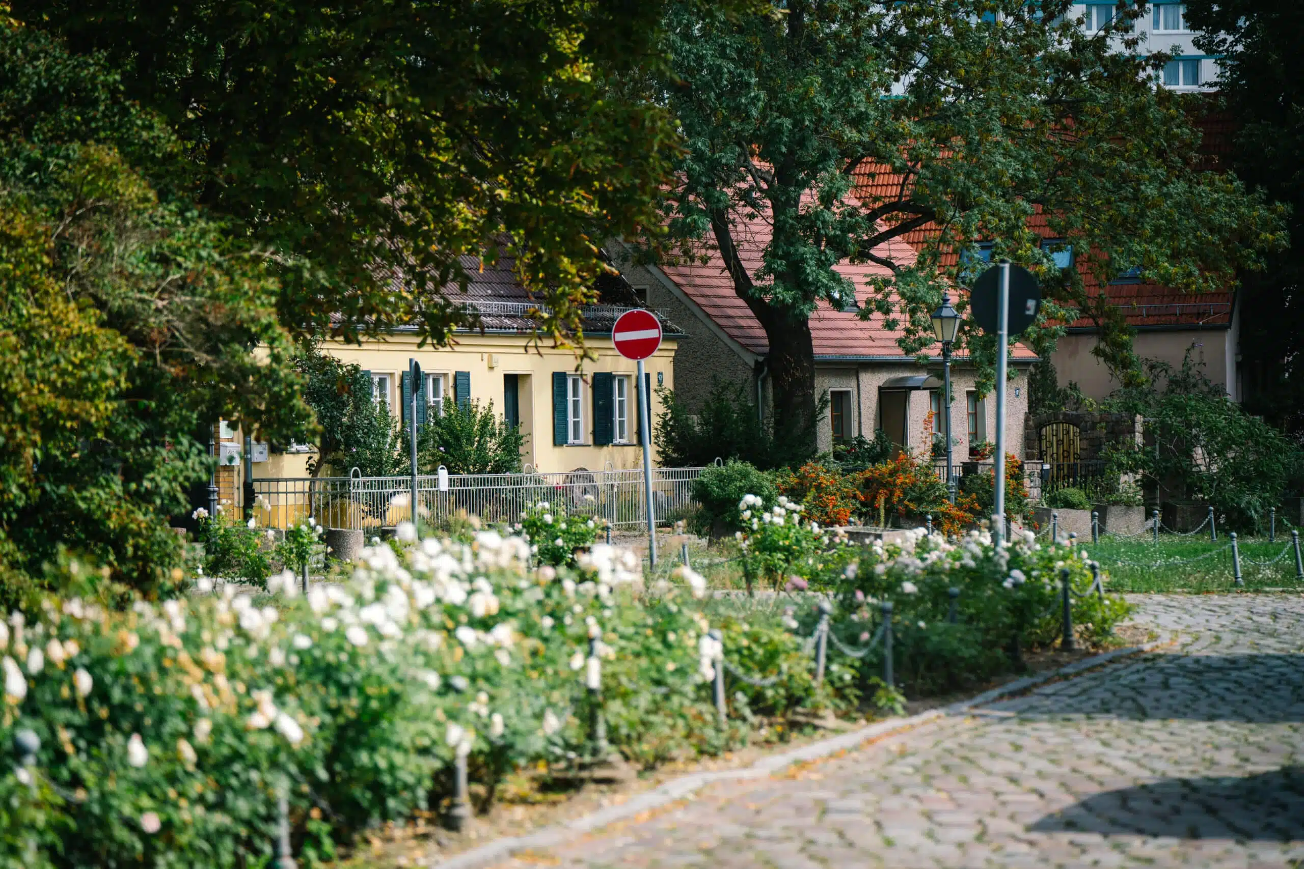Ein idyllischer Blick auf eine gepflasterte Straße mit blühenden weißen und orangefarbenen Blumen im Vordergrund. Dahinter stehen historische Häuser mit roten Dächern und farbigen Fassaden, umgeben von Bäumen. In der Mitte des Bildes befindet sich ein „Einfahrt verboten“-Schild.