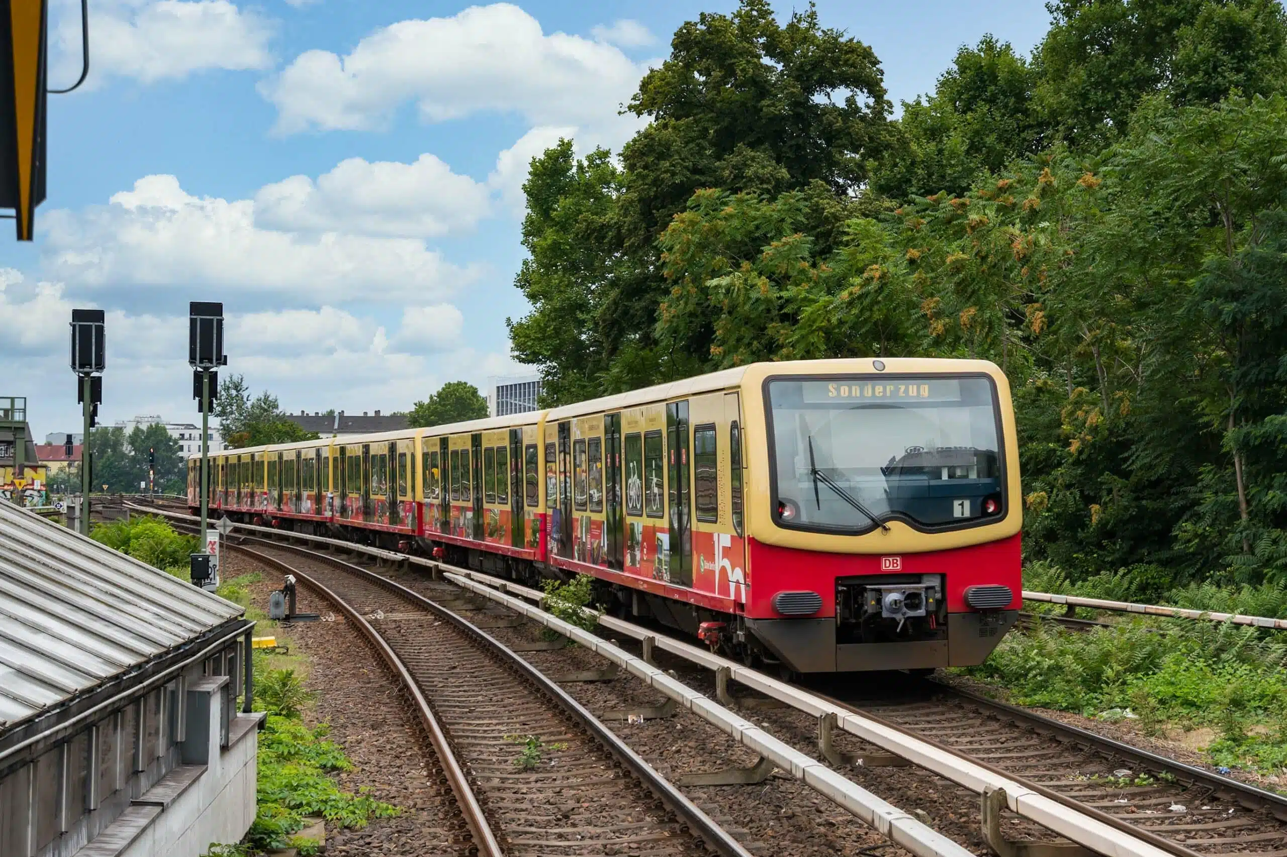 Sonderzug der Berliner Ringbahn mit Jubiläums-Design auf freier Strecke. Der Zug trägt eine spezielle Folierung mit historischen Motiven und ist in den klassischen Farben der S-Bahn Berlin gehalten. Die Umgebung ist grün mit klarem Himmel.